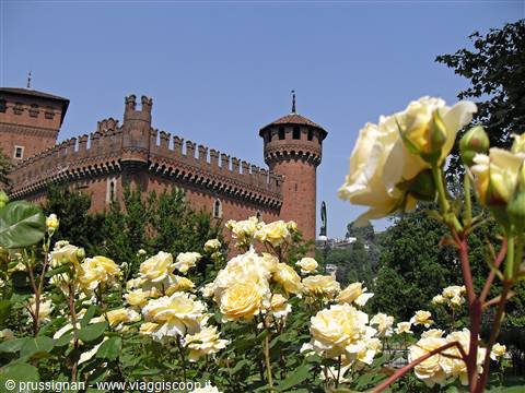 La Rocca Medievale riapre dal 31 marzo.
Le visite guidate saranno a cura di Theatrum Sabaudiae. Per informazioni e prenotazioni: 011 5211788, prenotazioni@arteintorino.com