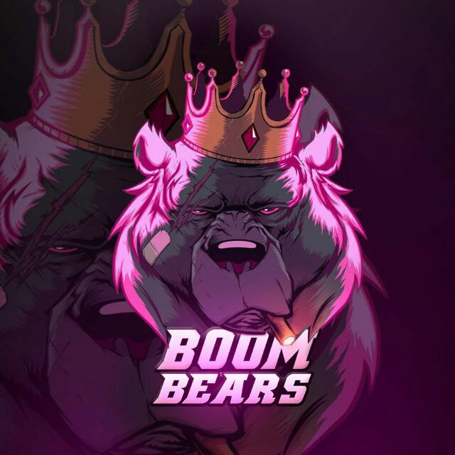CopaHienaCR's tweet photo. Ya han llegado los chicos de @bears_boom para ganar la @CopaHienaCR https://t.co/03hWkcU3kG