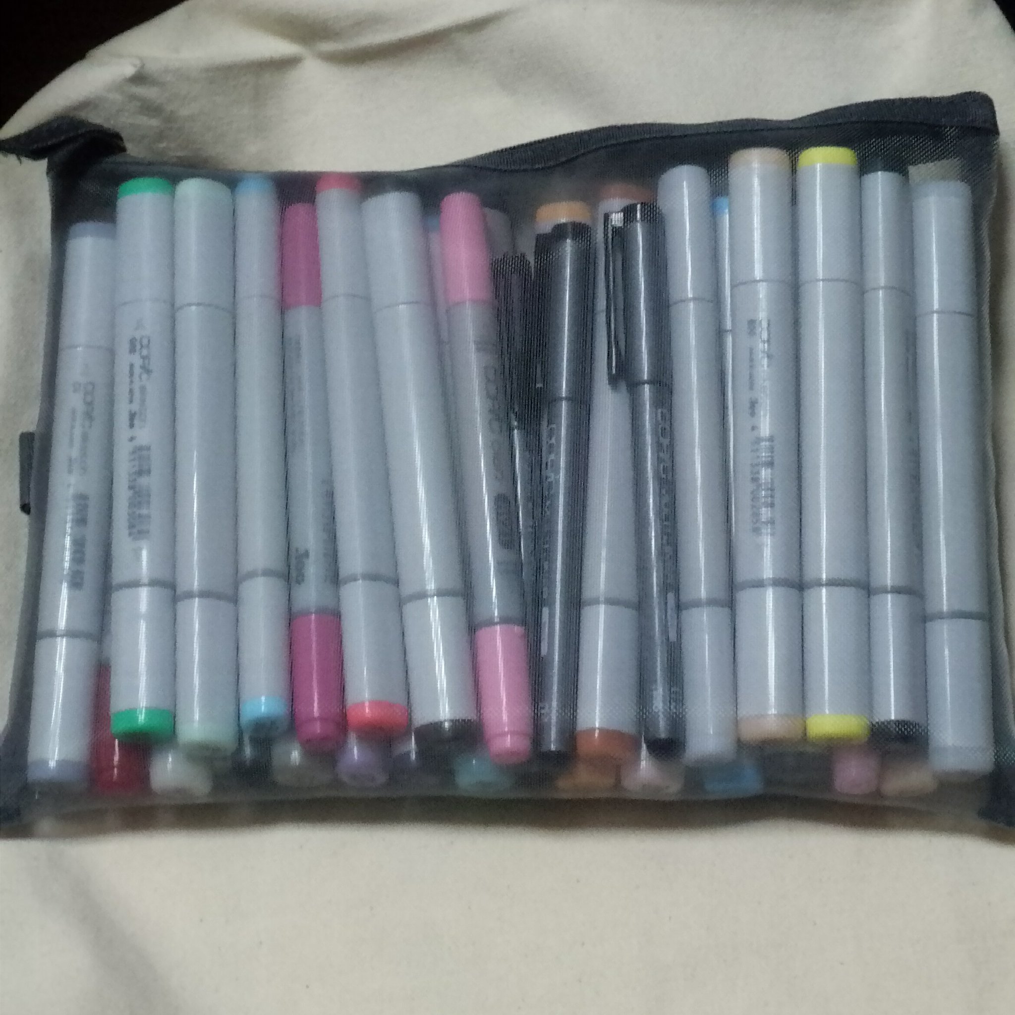 くぉお コピック持ち歩く用の筆箱 ダイソーで売ってるナイロンメッシュケースa5サイズ Copic T Co Paw4bqlhqa Twitter