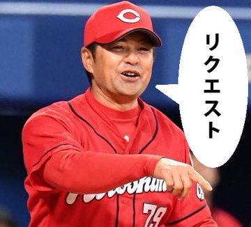 プロ野球で導入されたリクエスト制度のルールと対象は チャレンジとの違いも Baseball Trip ベースボールトリップ