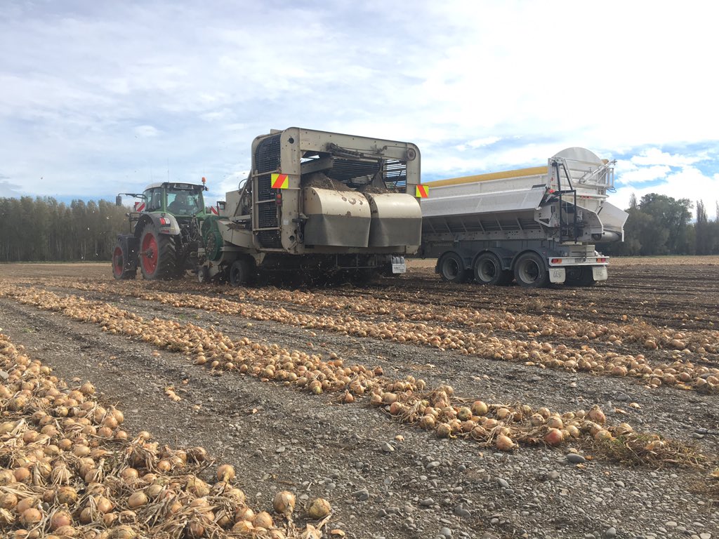 CasswellFarm's tweet photo. Kit central here, living the so called New Zealand dream! Onions, Cultivations and then start night shifts on Spuds Saturday 🇳🇿 bit different to Easter last year.. Hopefully get to watch some test cricket in Christchurch! #BarmyArmy #NewZealand #Fendt https://t.co/8VZYHyffRx