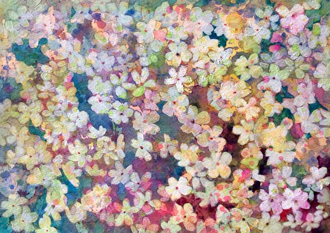 芝桜のtwitterイラスト検索結果 古い順