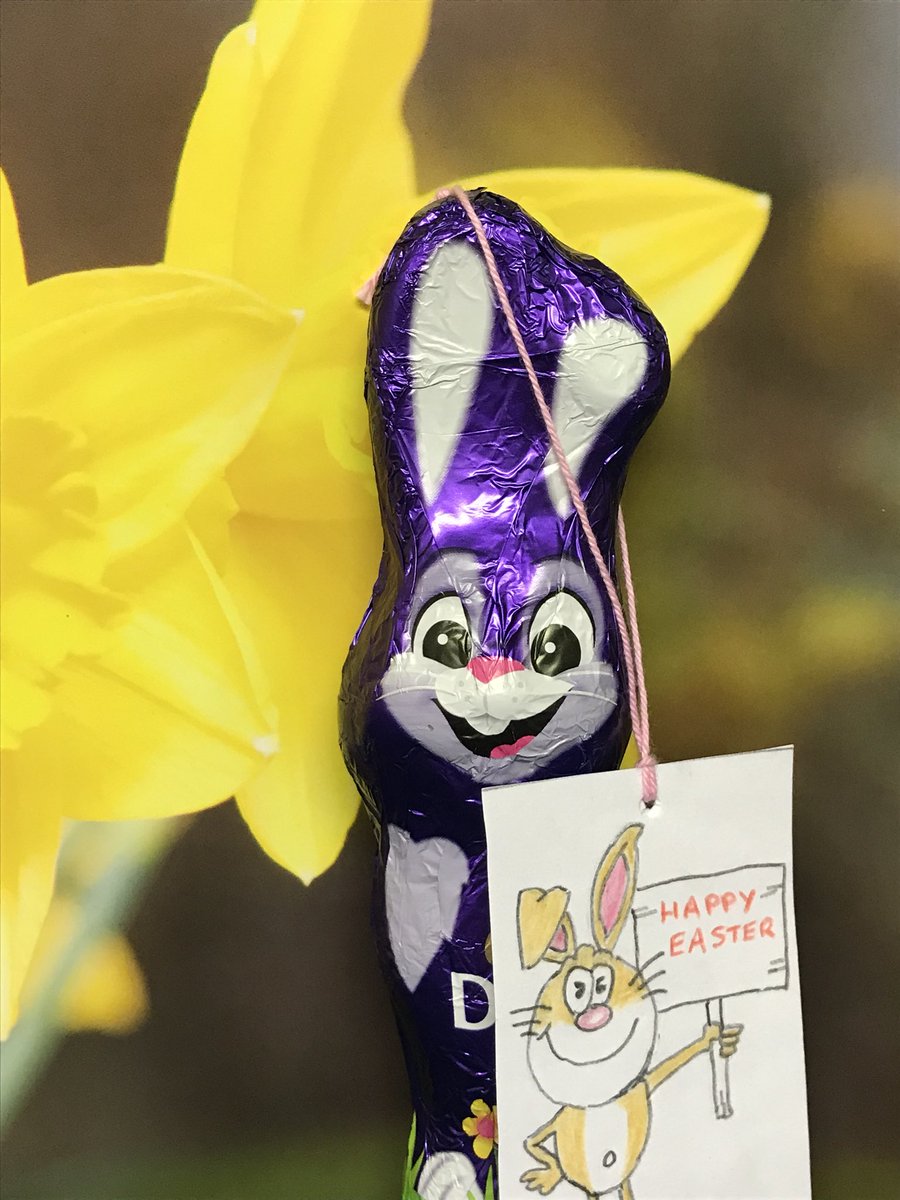 Happy Easter 🐣 from Team <a href="/SetInHand/">Set In Hand</a>