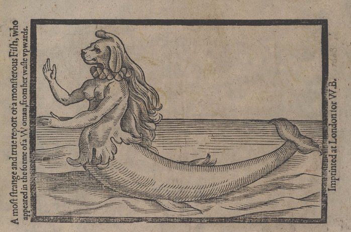 Jason Evans tweet media