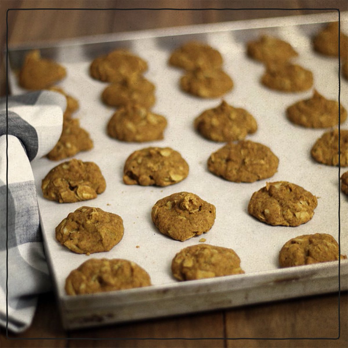 RightbiteME's tweet photo. These #sugarfree and #glutenfree cookies are just too good to resist! Check out our latest blog for the #recipe :)

https://t.co/LIehMwPlTf https://t.co/teSuPkK55C