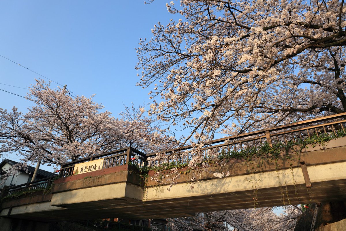 (image)