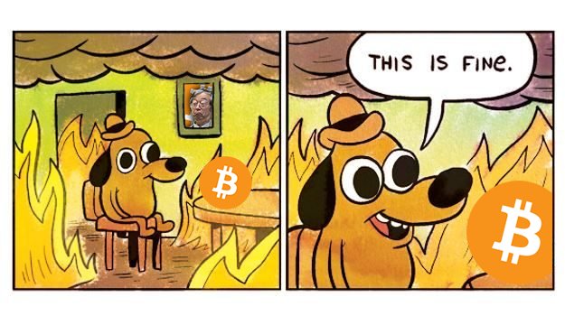 Drunk Satoshi tweet media