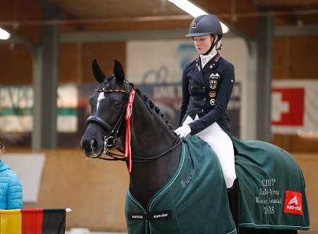 HShowJumping's tweet photo. Shining lights at the Lake Arena CDI https://t.co/Y8o3YoM4fI @valegrodamonhil @equestiran1 @EquiRessources @EEquitation @eatsleep_ride1 @DutchSportHorse @HorsePonyNews https://t.co/KXy5CmHki2