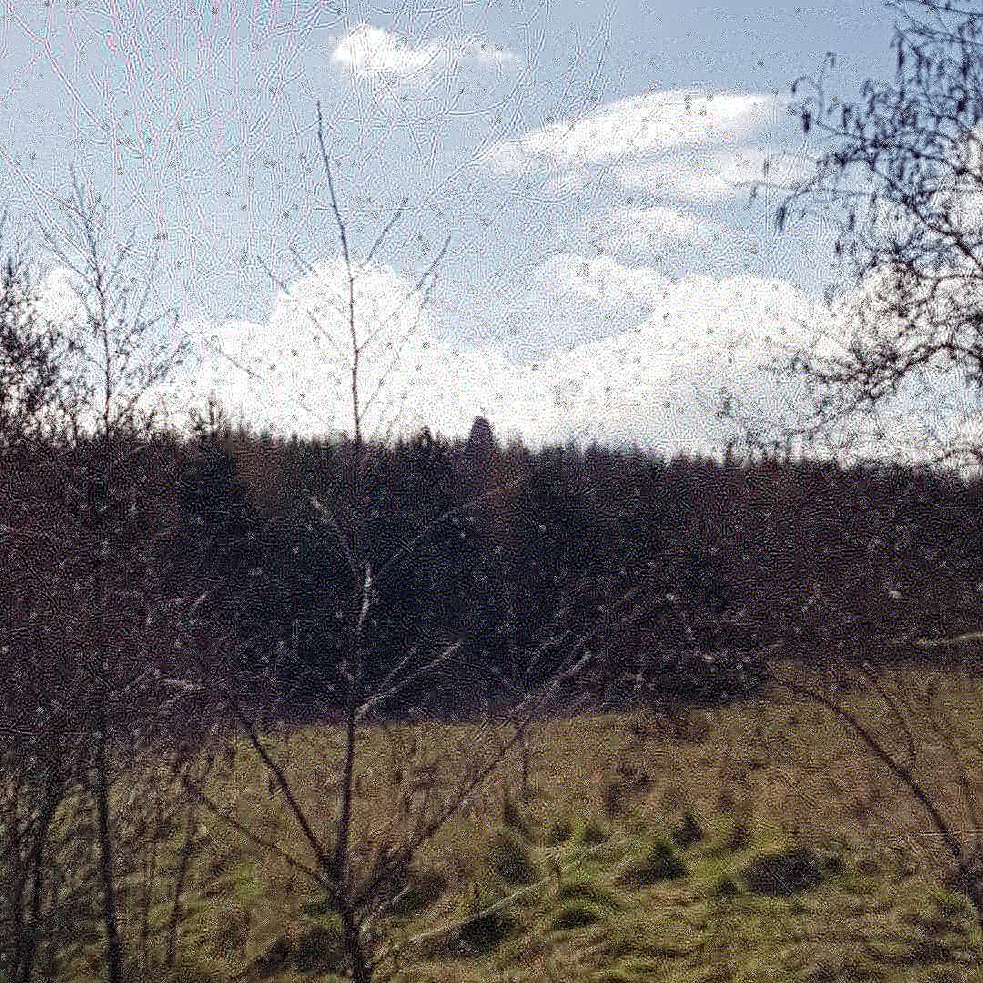 HouseDaycare's tweet photo. My view in work today #suttonmanor #lifeofachildminder https://t.co/LzrXSqjgcf