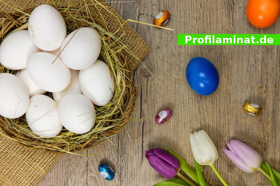 Bald ist Ostern!
Damit wird auch die Schönste Zeit des Jahres eingeläutet!
Frühjahrsputz und Wohnraumgestaltung stehen ebenfalls vor der Tür!
Zum Beispiel mit unseren neuen Laminat- &amp; Vinylböden auf Profilaminat.de
   
  #laminat
  #vinyl
  #bodenbeläge
  #böden