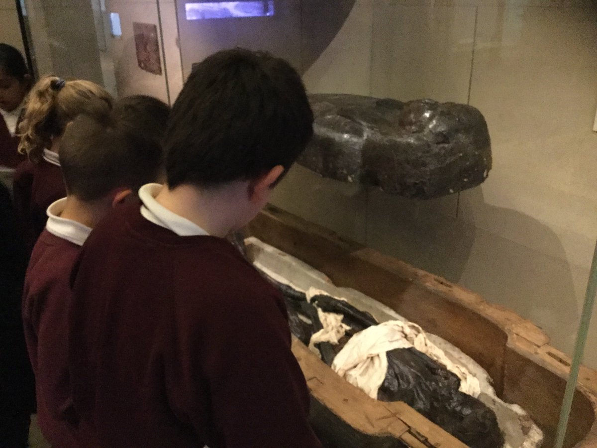 RCS_Birch's tweet photo. Year 5 enjoyed a great day at The Great North Museum this week! @RCS_Alder @RCS_main https://t.co/MOfV3Wrfqe