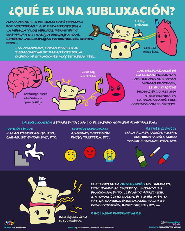 QuiropracticAEQ's tweet photo. Gracias @QuiropracticaID por posts tan gráficos como este https://t.co/cDhXQfd1YQ