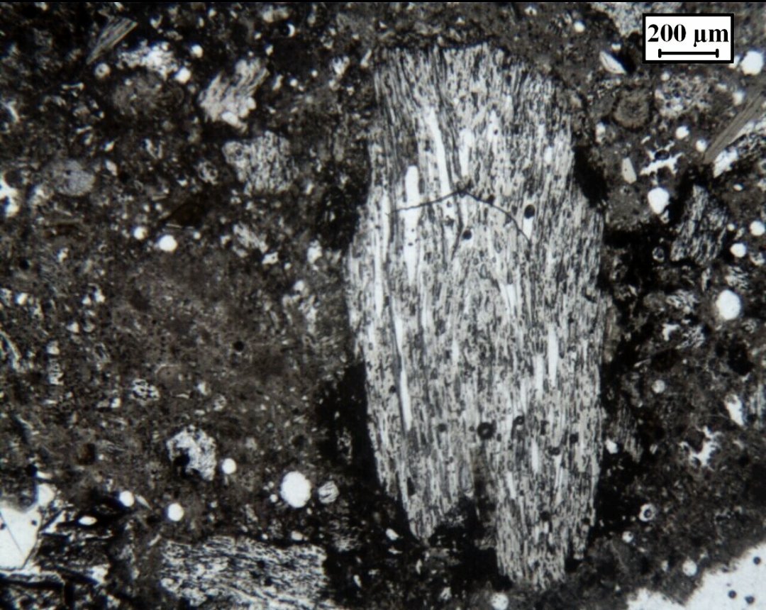 TinaRisp's tweet photo. #ThinSectionThursday
Pumice in ancient Roman Mortars from Villa del Pezzolo (Sorrento Peninsula, Southern Italy) #mortaranalysis https://t.co/kGJ94F8lcs