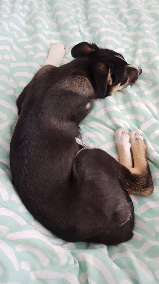 ......he stick his leggy out