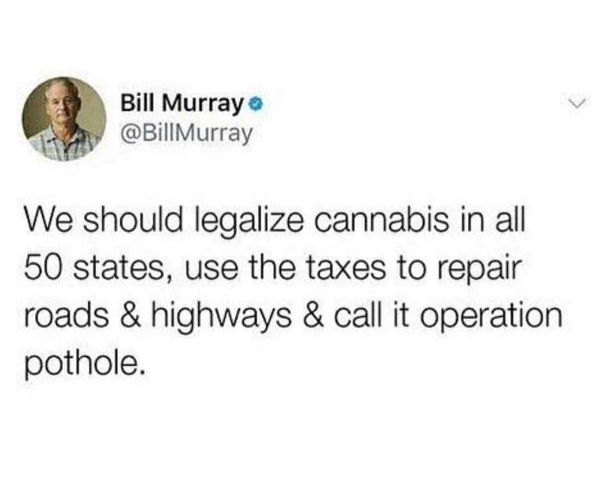 medamints's tweet photo. We couldn’t have said it better! Thanks @BillMurray for your timeless humor and eloquence #medamints #marijuana #mints #tastehappy https://t.co/BvHJPfJx73