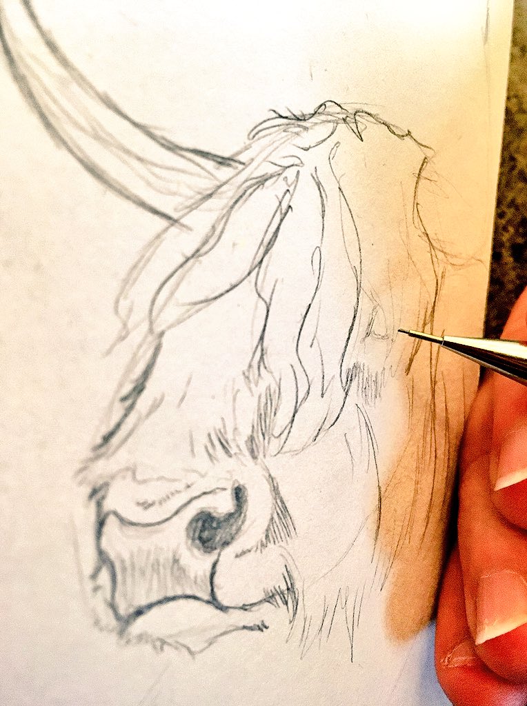 PaintlessDog's tweet image. I wonder who this might be for... @LupeSilverwind &amp;lt;3 #notsosubtle