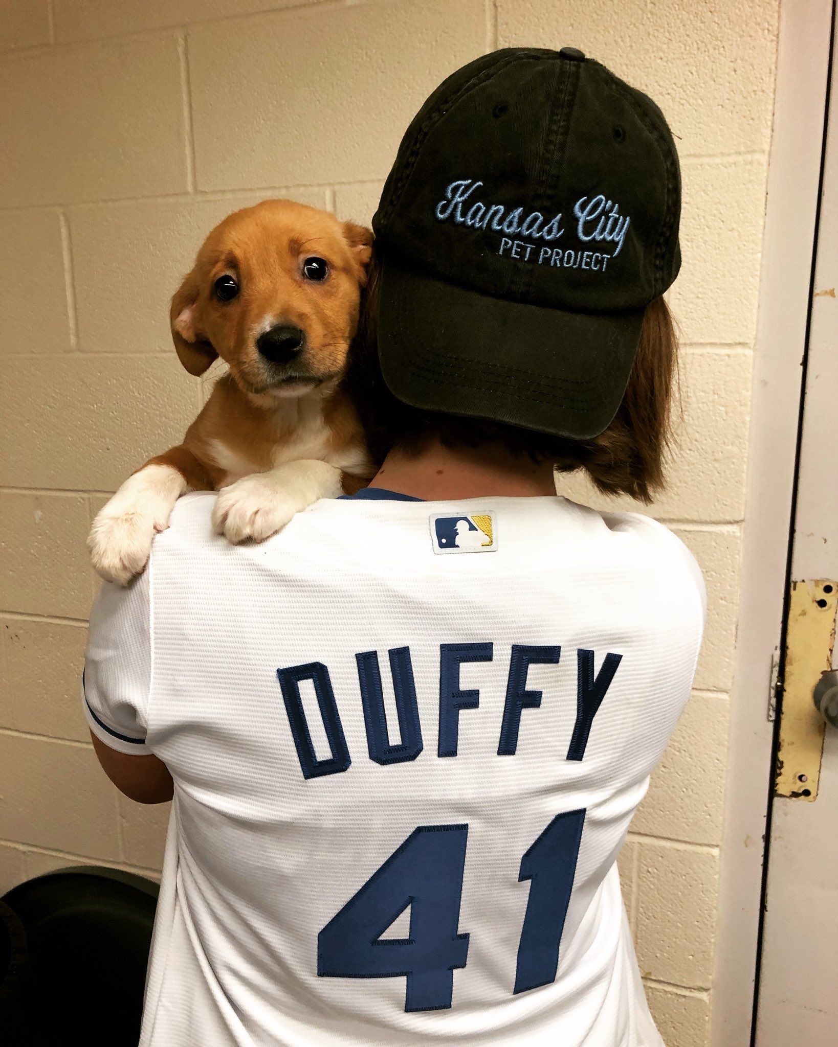 KC Pet Project on Twitter "Good luck to our neighbors, the Royals, on
