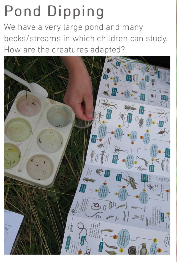 Hosting school visits is very rewarding, seeing children’s faces light up when they see the cows &amp; calves, or watching them discovering what creatures they’ll find pond &amp; beck dipping is fantastic.
We have a website visitmyfarm.com and welcome schools from anywhere in UK