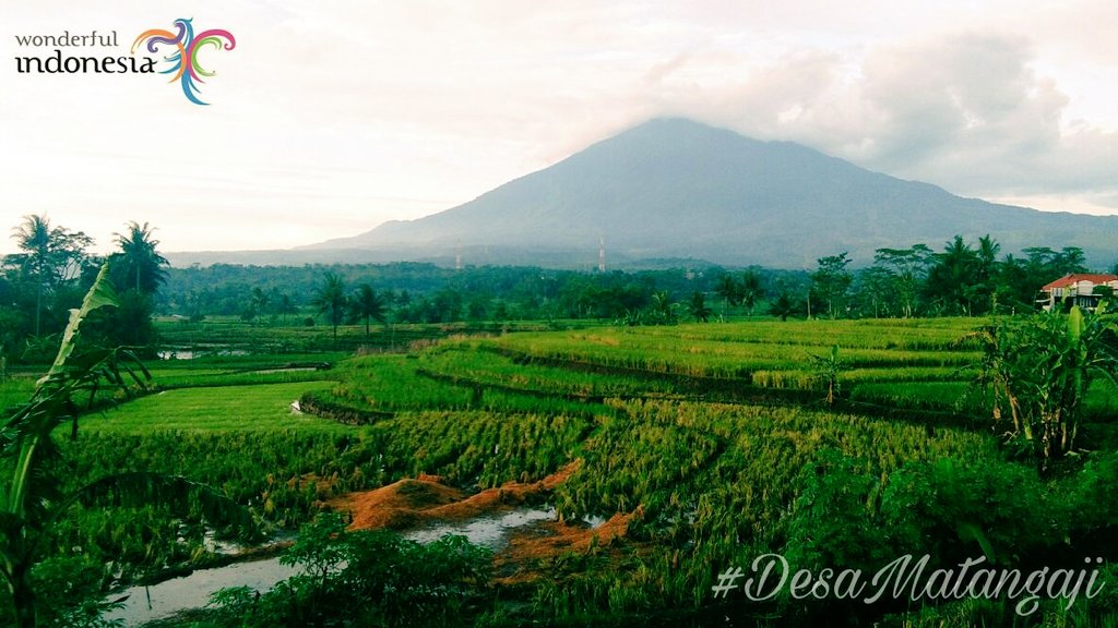 #DesaWisata #Matangaji #Sumber #Cirebon #JawaBarat #Indonesia <a href="/plesirwisata/">PLESIR WISATA</a>