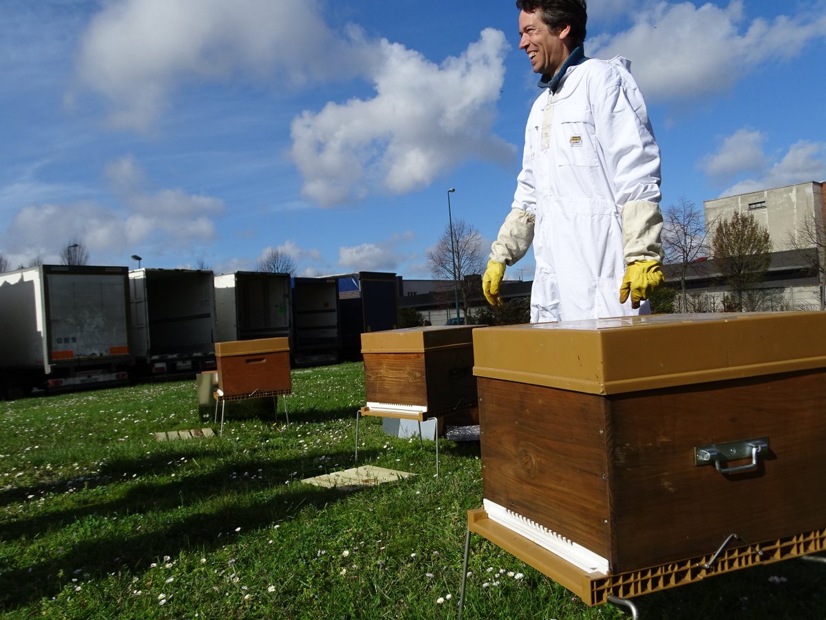 ekodev's tweet photo. Aujourd'hui @ekodev et #Apiterra ont installé 3 ruchers pédagogiques 🐝dans les locaux de @GEFCO à Gennevilliers. Les collaborateurs ont été sensibilisés à l'apiculture et à la #biodiversité🌿. Cette animation s'est terminée par la dégustation de délicieux miel 😋 😃 #Abeilles https://t.co/ZJYOmvZBiN