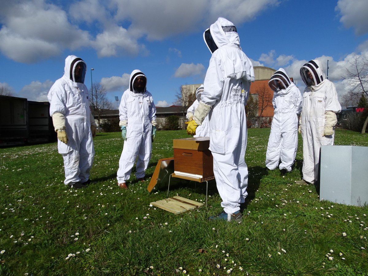 ekodev's tweet photo. Aujourd'hui @ekodev et #Apiterra ont installé 3 ruchers pédagogiques 🐝dans les locaux de @GEFCO à Gennevilliers. Les collaborateurs ont été sensibilisés à l'apiculture et à la #biodiversité🌿. Cette animation s'est terminée par la dégustation de délicieux miel 😋 😃 #Abeilles https://t.co/ZJYOmvZBiN