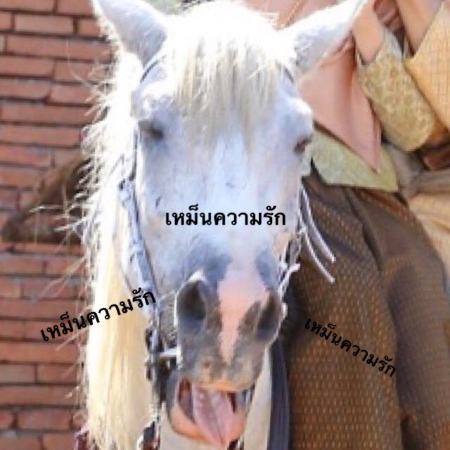 Meaunfun's tweet photo. ช่วยด้วย หยุดขำไม่ได้อะ 😂😂😂
ขออนุญาติเจ้าของภาพ #บุพเพสันนิวาส https://t.co/FuTipoqLMb