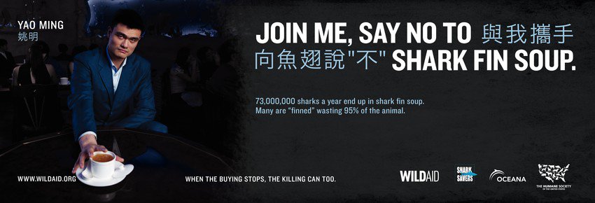 70 species of #sharks are at risk of extinction. We work with @YaoMing & other ambassadors to reduce demand for shark fin soup wildaid.org/programs/sharks
