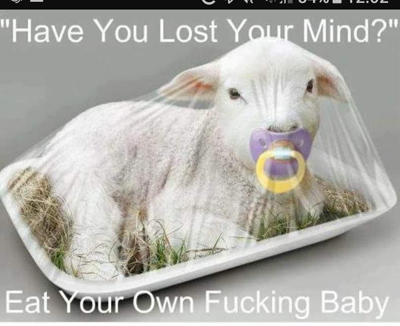 LianeHughes's tweet image. #justsaying #23daysold #wrongjustwrong