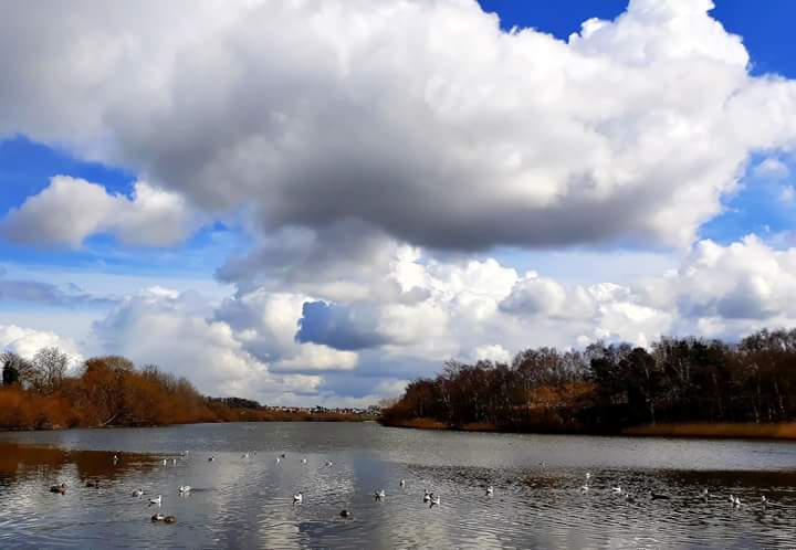 Blue sky at Fairburn yesterday