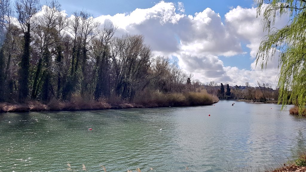 JaviRun42k's tweet photo. Entreno finiquitado 💪, 3 días castigado dice mi @Garmin_Iberia, ahora ya podemos ir a por las torrijas de mi santa madre 🕺🕺sin ningún miedo 😂 #RoadToMapoma #23DiasYBajando #Aranjuez #VamosGiron #VamosVictor #VamosIago #VamosMariutxi https://t.co/DhaFZfiLvv
