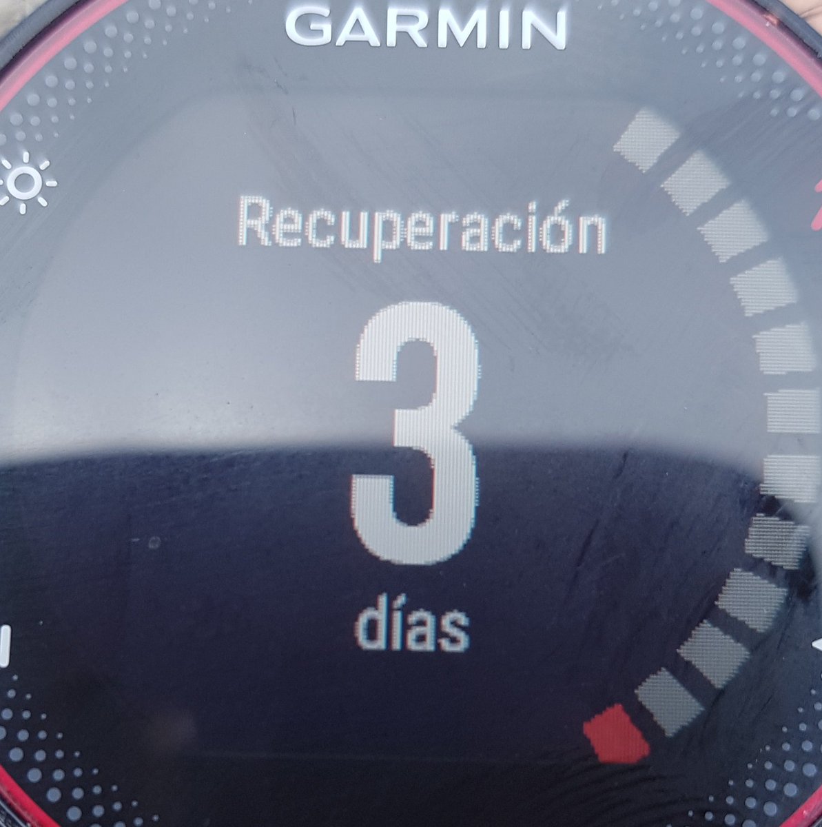 JaviRun42k's tweet photo. Entreno finiquitado 💪, 3 días castigado dice mi @Garmin_Iberia, ahora ya podemos ir a por las torrijas de mi santa madre 🕺🕺sin ningún miedo 😂 #RoadToMapoma #23DiasYBajando #Aranjuez #VamosGiron #VamosVictor #VamosIago #VamosMariutxi https://t.co/DhaFZfiLvv