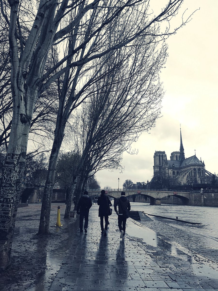 byjeffonline's tweet photo. Winter Tale in #paris #Parisundersnow
-
#Parisjetaime #Paris @ParisJeTaime @ParisZigZag @WelcomParis @CanonFrance @_LeBonbon @fubiz @Paris @ParisAMDParis @WelcomParis https://t.co/rkMeALA6Er https://t.co/OqTtcjt6Mq