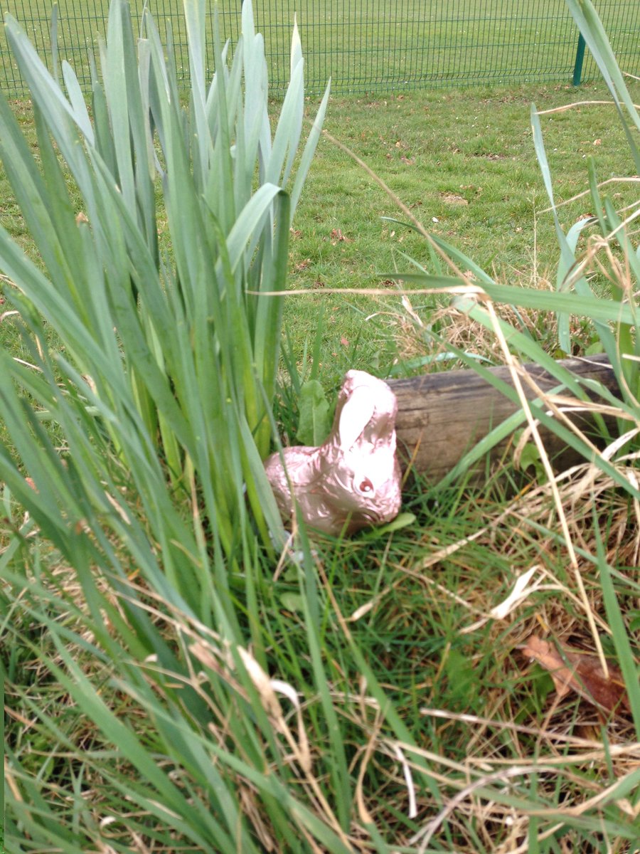 RA Sixth Form tweet media