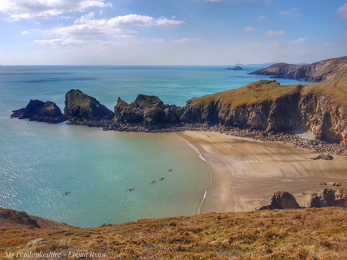 My Pembrokeshire tweet media