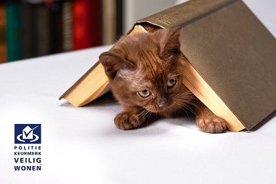 Woning gevonden op de OpenHuizenDag vandaag? Een #PKVW-vakman kan je huis inspecteren op veiligheid. Als je huis veilig is bevonden kun je een certificaat krijgen. Dat levert doorgaans korting op je inboedelverzekering op. #Vakman vinden: bit.ly/2qrCpyX