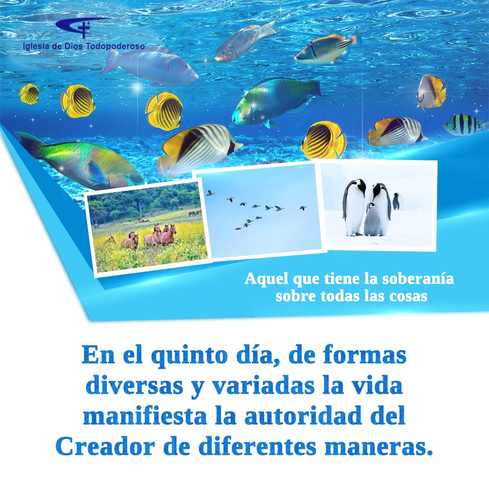 CAGchurches's tweet photo. 📗📗 Dios dice: “Conforme Dios pronunció Sus palabras, nueva vida fresca, cada una con una forma diferente, cobró vida al instante en medio de las palabras del Creador”.
#palabras #vidafresca #diferente #laspalabrasdelCreador
💗 Ver más: ➡ https://t.co/6JGC9OWzU6 https://t.co/MvZXUSanZV