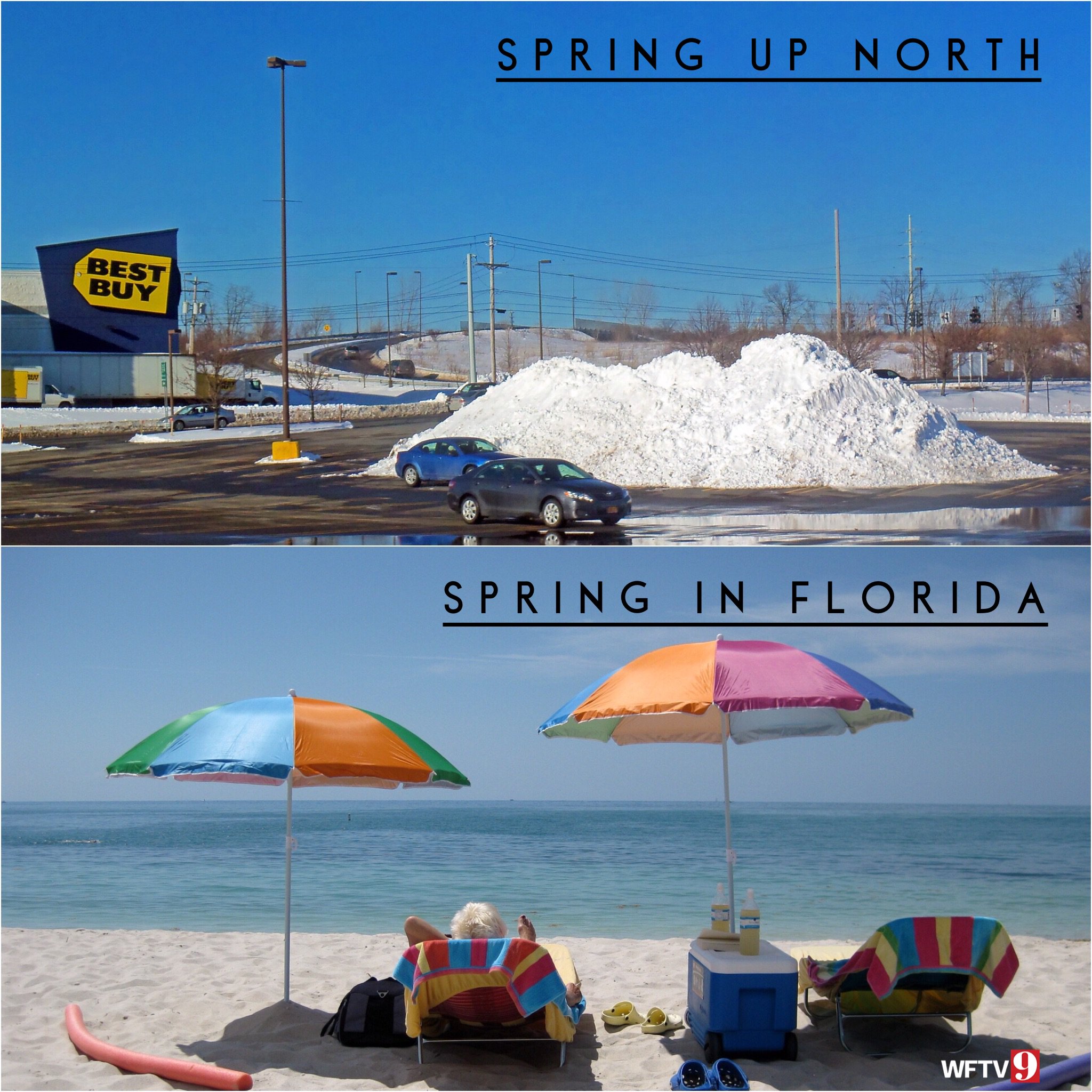 Spring in Florida Disney