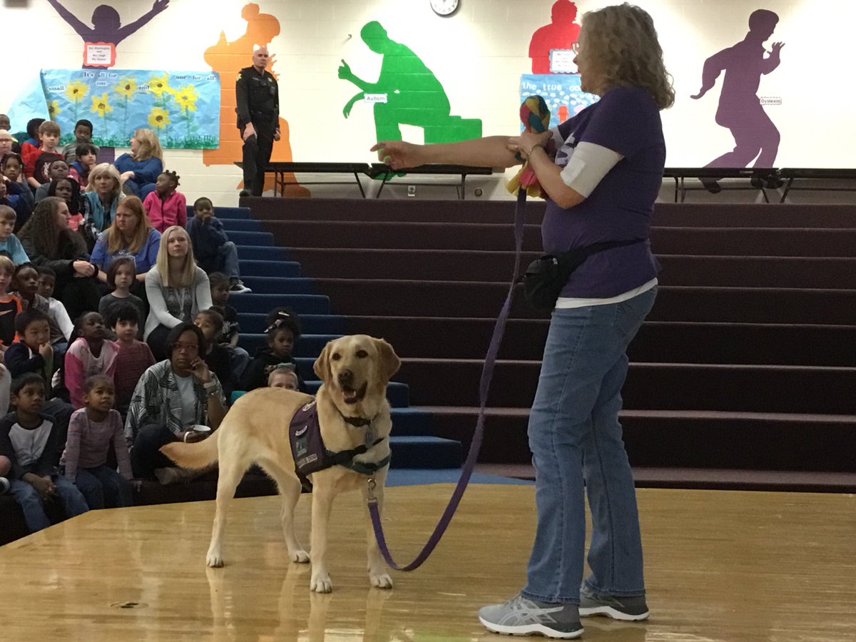 HarbisonWestEl's tweet photo. A huge thanks to @PAALSinSC for visiting our heroes on Wednesday to share about the role service dogs play in the lives of so many. #ExceptionalStudentsWeek #BeTheChange #HWES #BelieveGrowSoar @LexRich5Schools https://t.co/JcxGcsxUWu