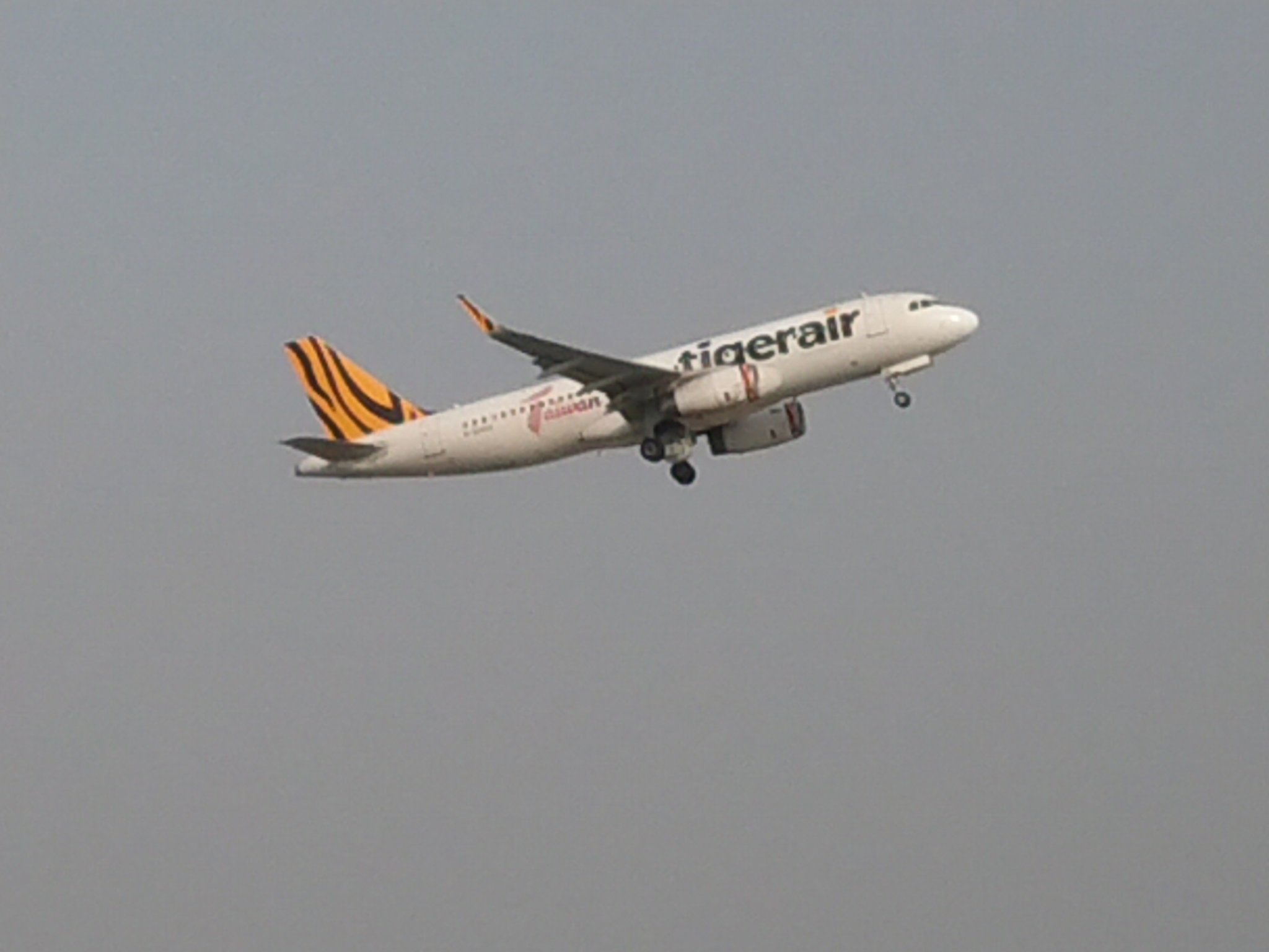 台北空港 Twitter Search Twitter