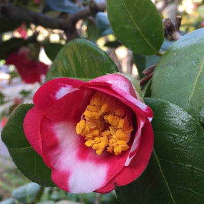 kajzuo's tweet photo. #新しいプロフィール画像 https://t.co/JeqBDBxTLU