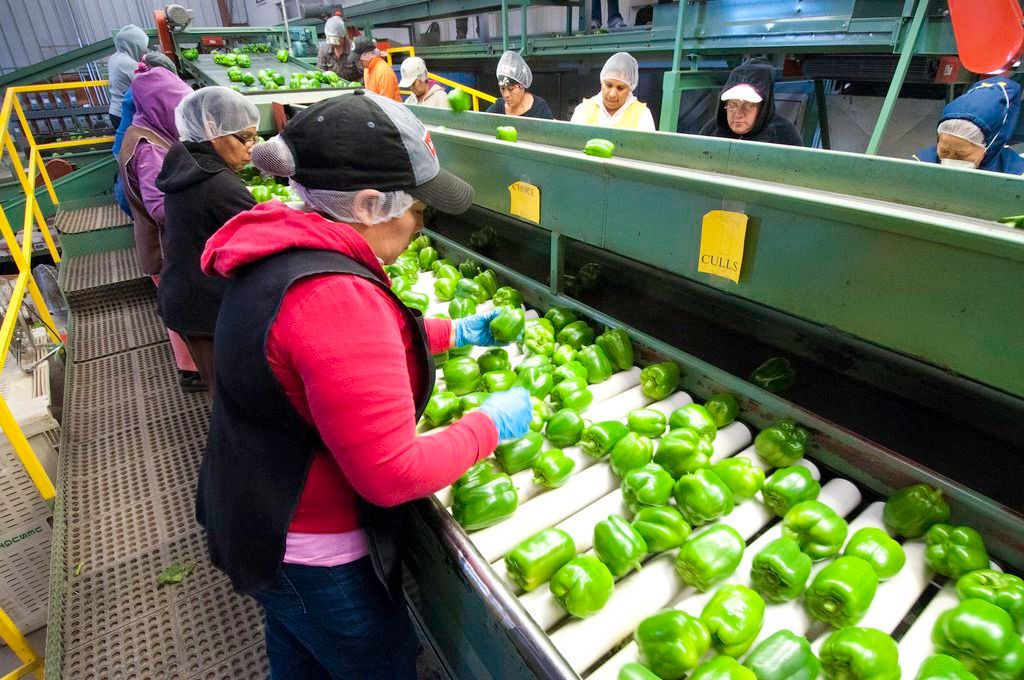 AgFunder's tweet image. App that cuts food waste in the supply chain gets $2M in funding bit.ly/2J3d3wu