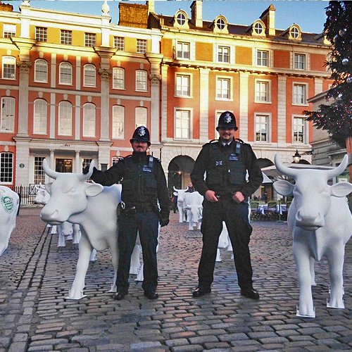 TarrenEventProd's tweet photo. A Thursday Throwback to the time we ran around London with a herd of white cows to promote Area Food’s #WhiteWednesday Campaign with London @agencyspace #throwbackthursday #tbt #eventsmade #eventprofs #eventproductionspecialists #tarren #tarrenproductionltd https://t.co/gQYVjReD0j