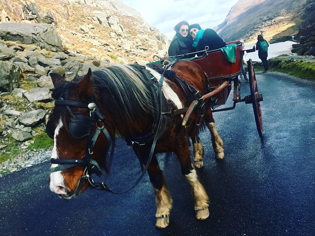 KzKsenia's tweet image. Our ride for the day! 🤘🏼🍀🤘🏼 @LubovKourey #gapofdunloe #rideoftheday #irishstyle #lovingit #playingtourist