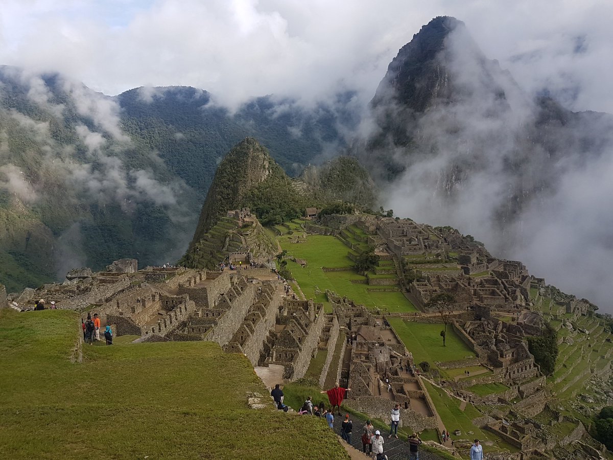 Meera Dattani tweet media