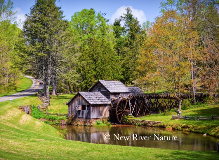 KerriFar's tweet photo. I've got EXCITING NEWS to share -- https://t.co/fo9M3VuZyt #VisitVA #ConcordCornerStore #PatrickCoVA #MeadowsOfDan #MabryMill https://t.co/K5NLiiOSPr
