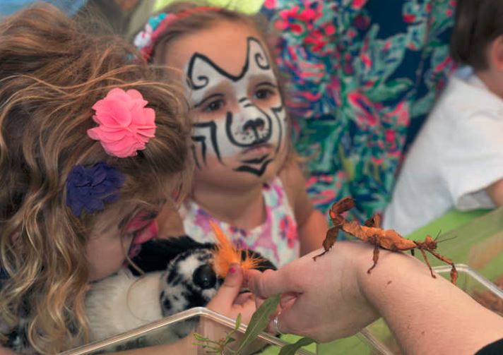 jcraulstonarb's tweet photo. Tarantulas, stick bugs, and gnarly cockroaches at Blooms!--Hold these little creepy crawlers and learn about their ecological importance from NCSU's Entomology Graduate Student Association. #insectfun #bugawareness #NCSU #EGSA #RaulstonBlooms https://t.co/cTwNrIl4RK