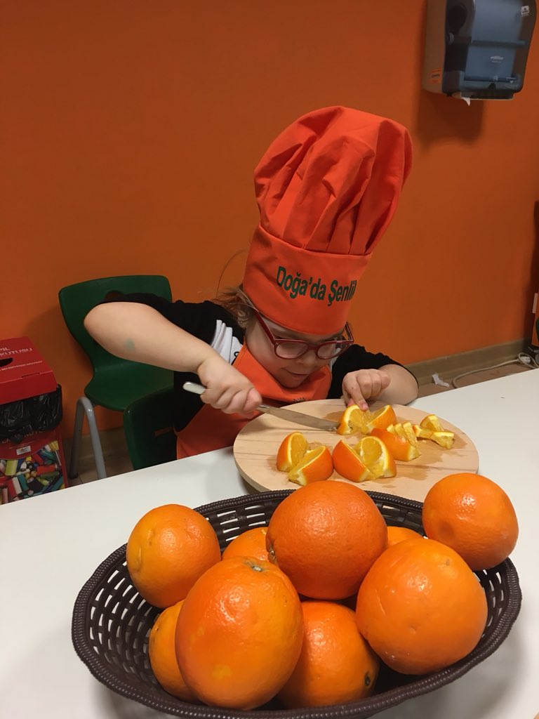 akbs_cyd's tweet photo. Doğa da şenlik var #portakalreçeli#yaparaköğrenençocuklar#ekoloji🍊🍊🍊🍊 @demiralay_polat @Pelinrem1 https://t.co/2muc5EzsVT