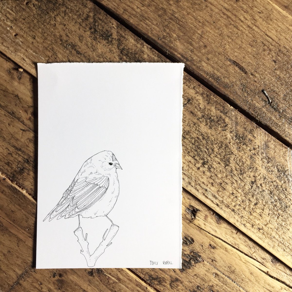 ItsBalderston's tweet photo. Lumbering up for the long weekend... #🙌🏼
.
#illustration #bird #lineart #longweekend #goodafternoon #characterdesign #design #mealyredpoll #art #whosyourmate #thursday #easter #handdrawn https://t.co/y6GTvK1Mfu