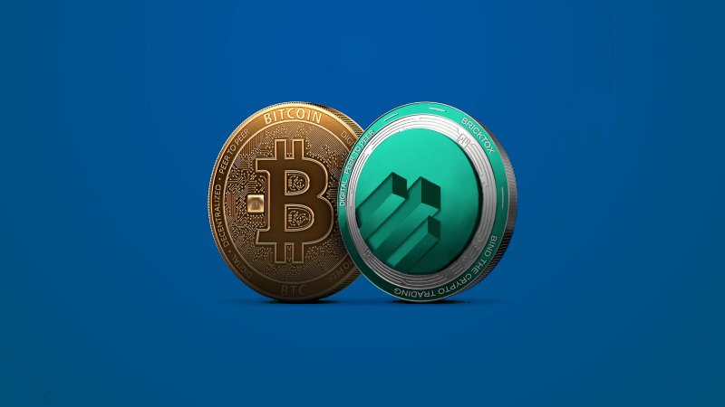 BrickTox's tweet photo. https://t.co/qClGmgQz0q