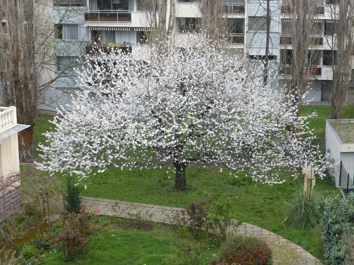 cesitlikonular's tweet photo. Sonbahar. Kış. İlkbahar. İnşaat. https://t.co/k6IgGcdYB8